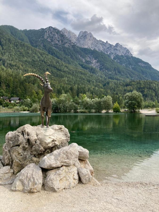 Apartments Belopeski Dvori Kranjska Gora Esterno foto